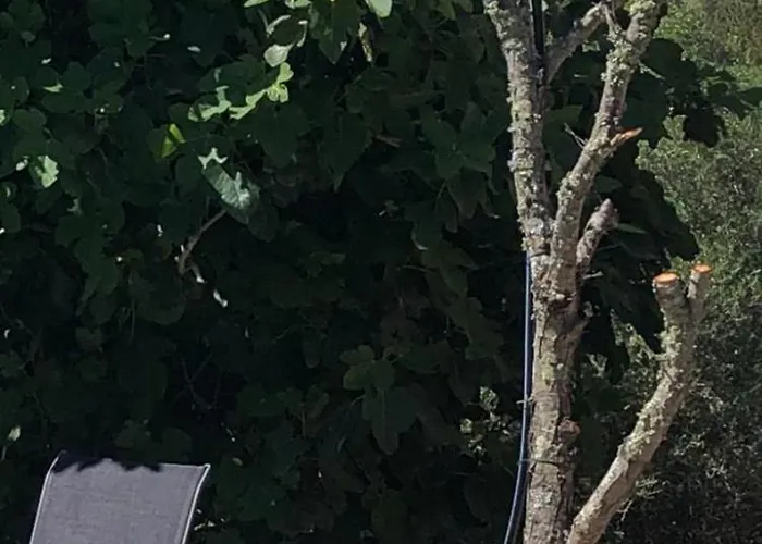 Bergerie Stazziola Charme Authentique Palombaggia * 维琪奥港